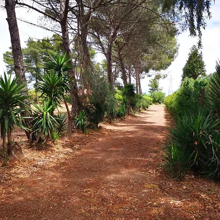 La Mela D'oro *
